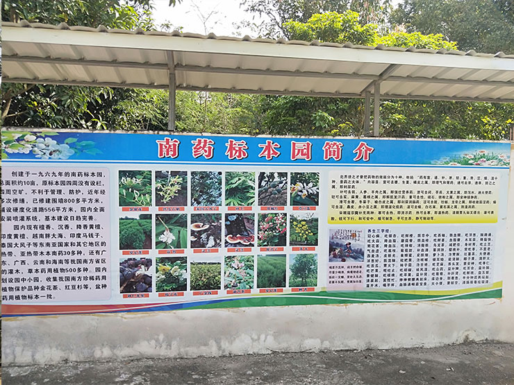 首页| CA88集团中国唯一官方网站