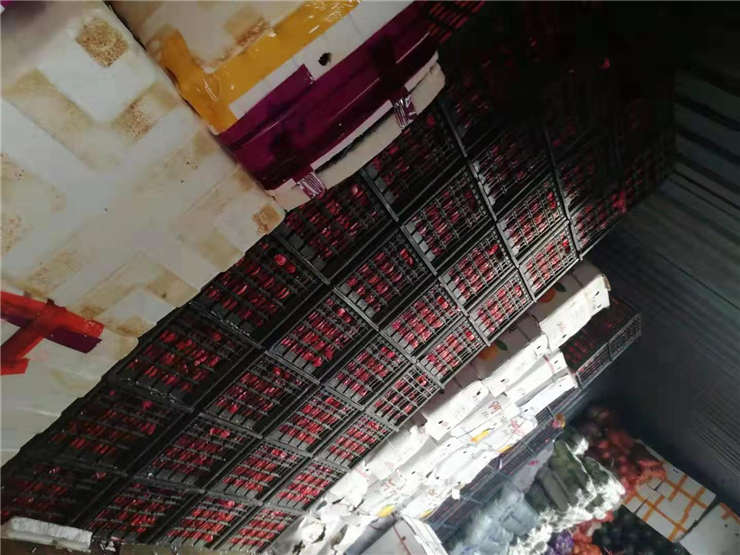 首页| CA88集团中国唯一官方网站