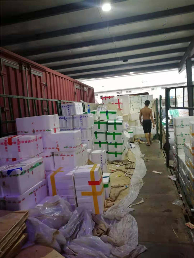 首页| CA88集团中国唯一官方网站