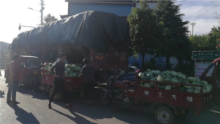 首页| CA88集团中国唯一官方网站