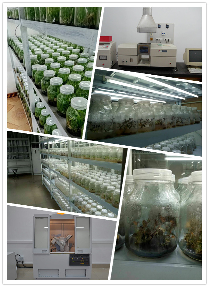 首页| CA88集团中国唯一官方网站