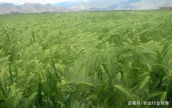 首页| CA88集团中国唯一官方网站