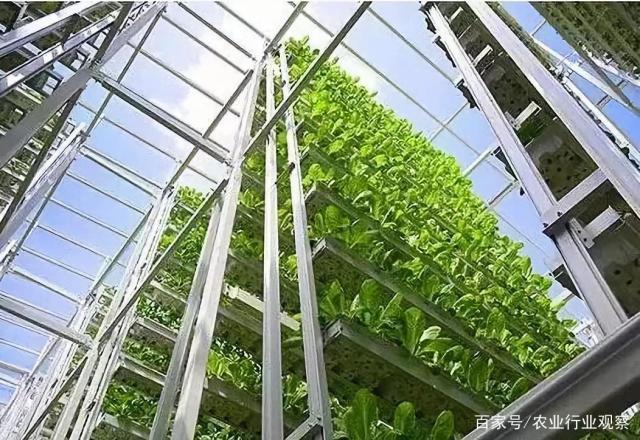 首页| CA88集团中国唯一官方网站