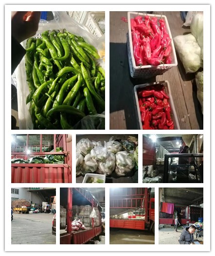 首页| CA88集团中国唯一官方网站