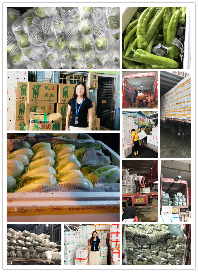 首页| CA88集团中国唯一官方网站