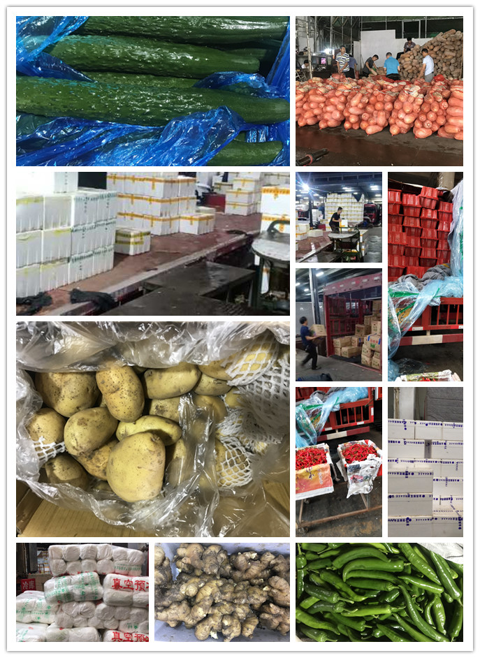 首页| CA88集团中国唯一官方网站