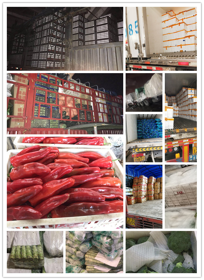 首页| CA88集团中国唯一官方网站