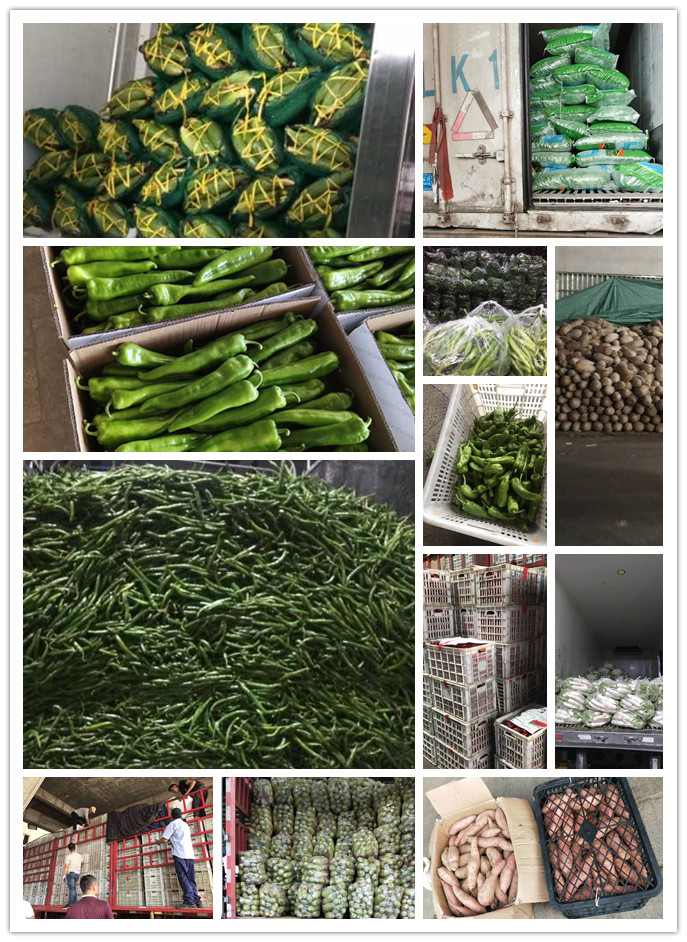 首页| CA88集团中国唯一官方网站