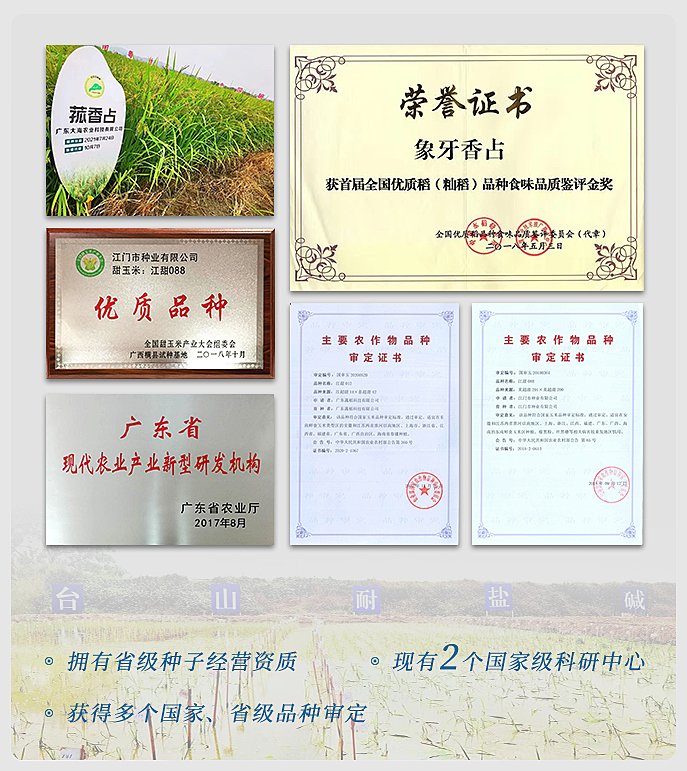 首页| CA88集团中国唯一官方网站