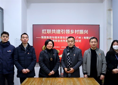 红联共建引领村落振兴，党建促业务深度融合