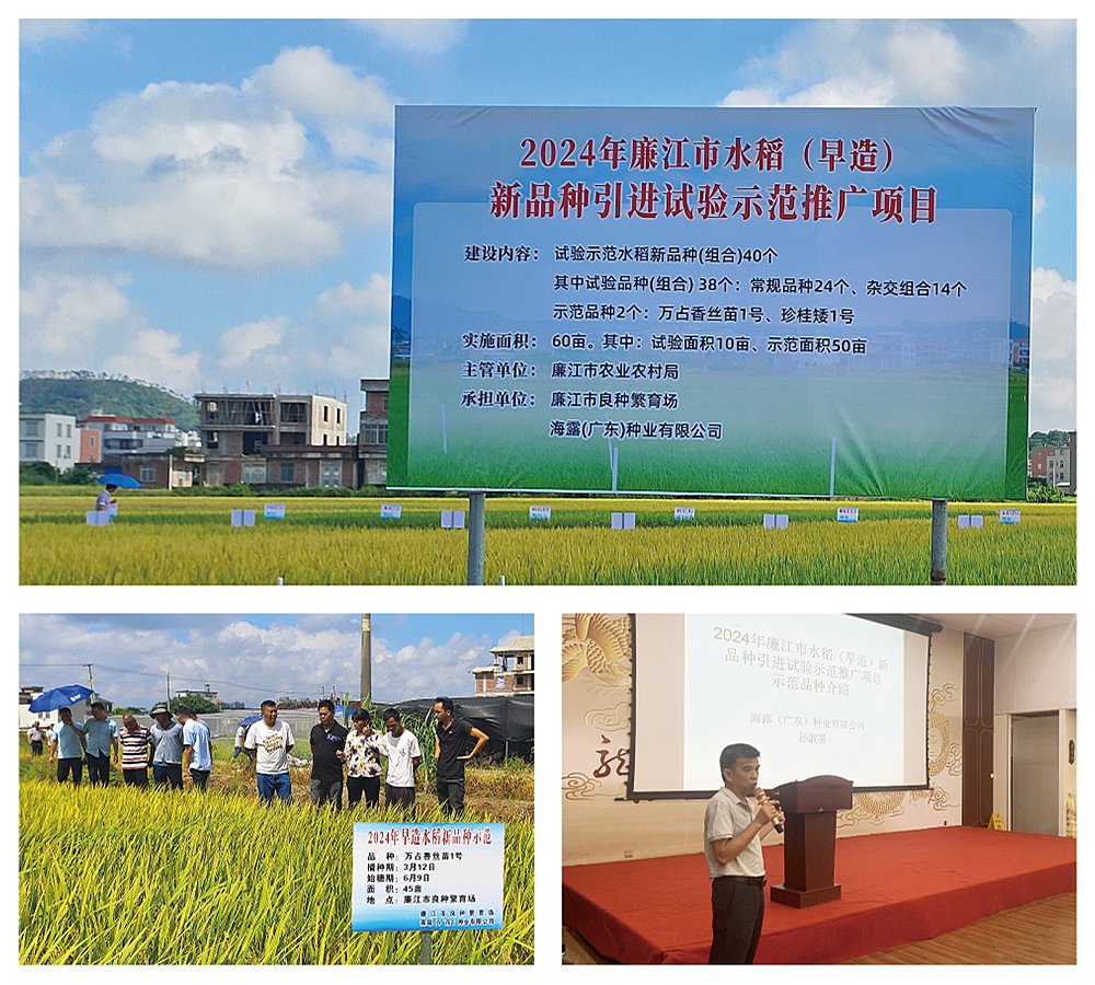 1-240FP92223126 首页| CA88集团中国唯一官方网站