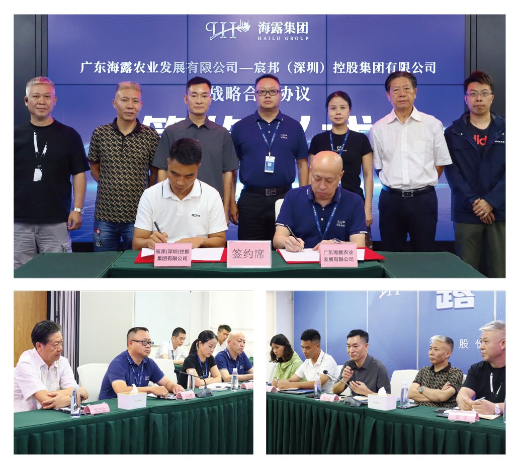 首页| CA88集团中国唯一官方网站