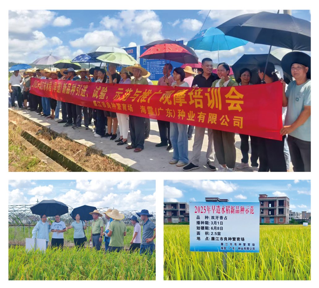首页| CA88集团中国唯一官方网站