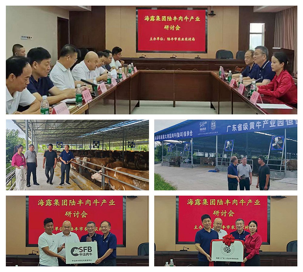 首页| CA88集团中国唯一官方网站