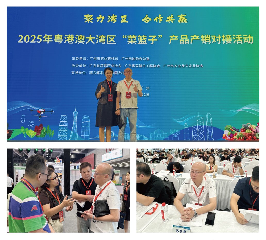 1-250R611033C27 首页| CA88集团中国唯一官方网站