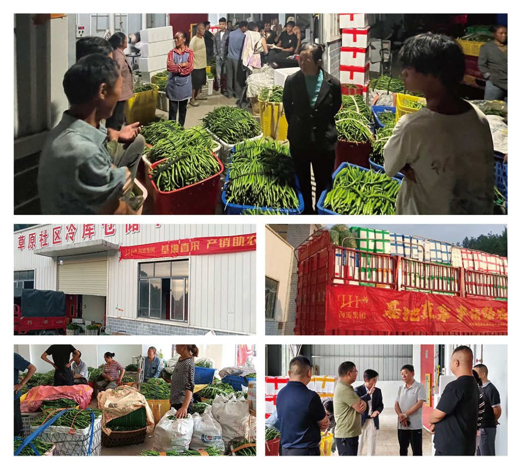 首页| CA88集团中国唯一官方网站