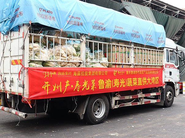 渠路赋能，集团助力沉庆开州蔬菜首发直供大湾区