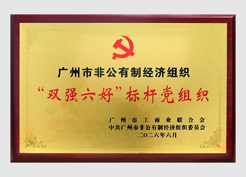 2024年至2026年陆续三年斩获“双强六好”标杆党组织称号